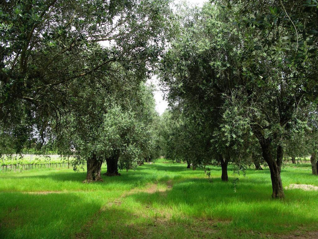 Masseria San Polo Squinzano Bagian luar foto