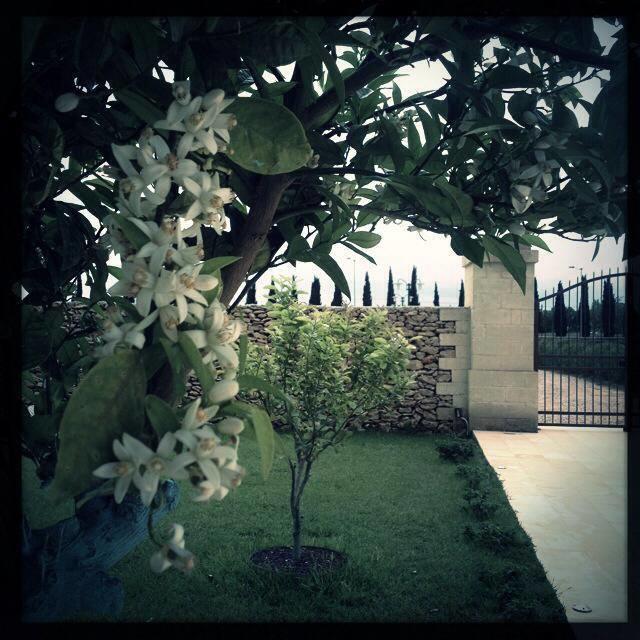 Masseria San Polo Squinzano Bagian luar foto