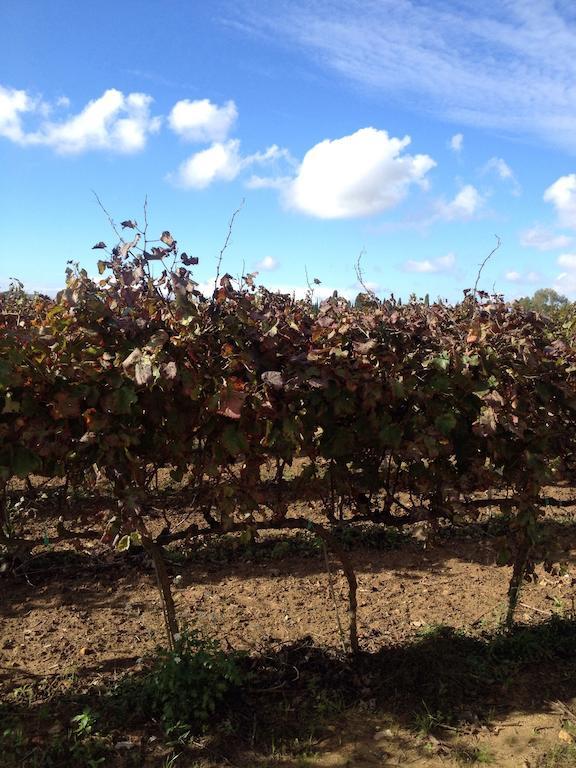 Masseria San Polo Squinzano Bagian luar foto