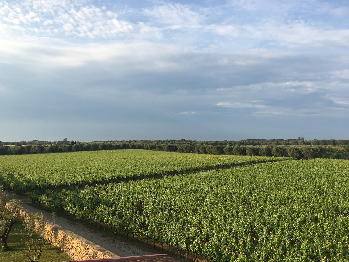Masseria San Polo Squinzano Bagian luar foto